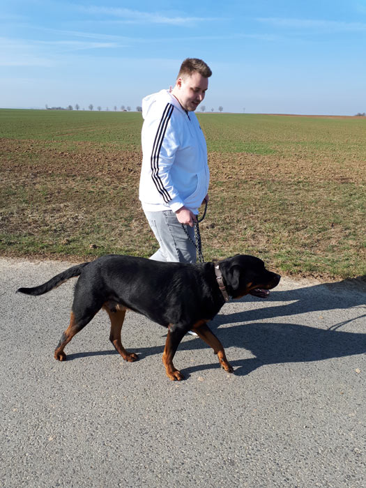 mobile_hundeschule_dreamteam_wuerzburg20190228_103838