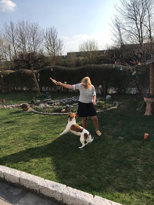 mobile_hundeschule_dreamteam_wuerzburg_IMG-20210407-WA0008